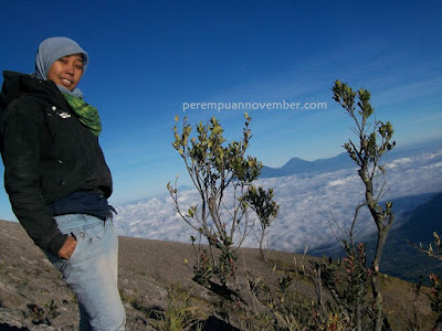 gunung indah di pulau jawa