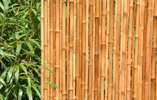 Bamboo Garden Screens1