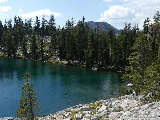 043: trees and lake