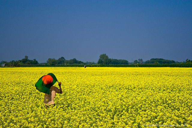 ... bangladesh and beautiful it s challenging to believe right bangladesh