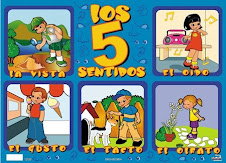 los 5 sentidos