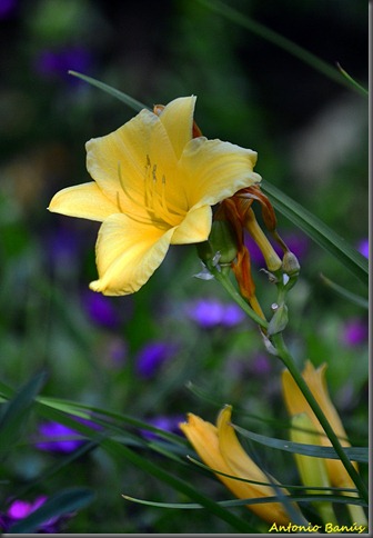 9_DSC9579x1