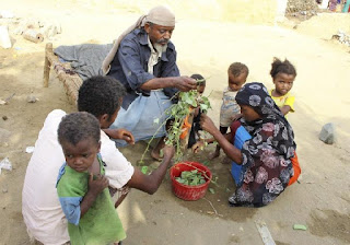 Dilanda Kelaparan Akibat Pemberontakan Syiah Houthi, Warga Yaman Terpaksa Makan Daun