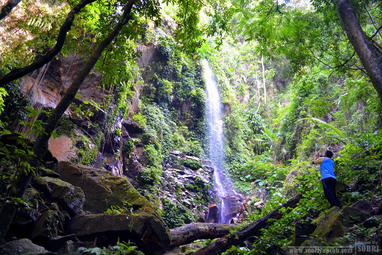 Royal Belum State Park Destinasi Percutian Yang Wajib 