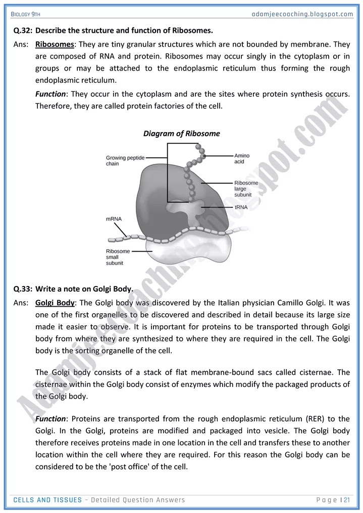 cells-and-tissues-detailed-question-answers-biology-9th