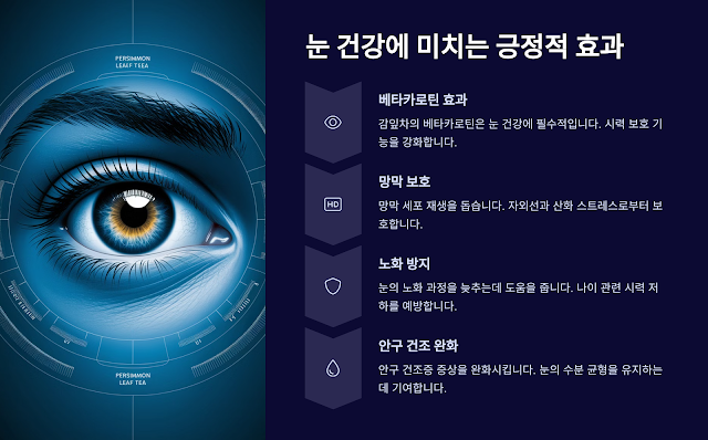 눈 건강에 좋은 이유