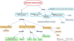 sistema_scheletrico_mappa