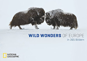 Wild Wonders of Europe in 365 Bildern: Tischkalender m. immerwährendem Tages-Kalendarium