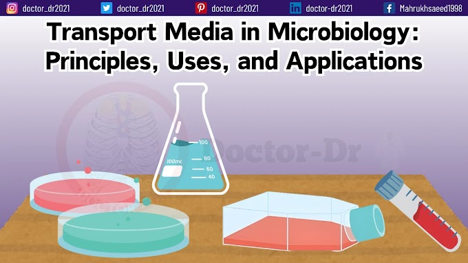 Transport Media in Microbiology: Principles, Uses, and Applications
