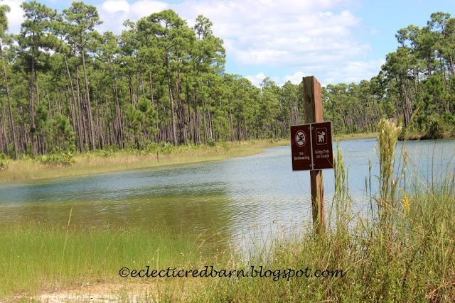 Eclectic Red Barn: Everglades National Park with signs