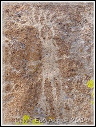 EFP3-P1080951_thumb7
