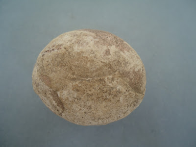 Fossilized Dinosaur Egg 