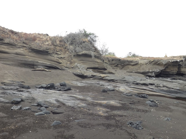 Puerto Egas, Isla Santiago, Galápagos