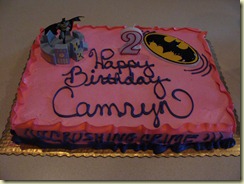 August 2010 - Camryn's 2nd Birthday (15)