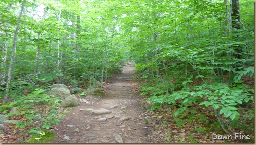 Bubble rock and Jordon pond_003