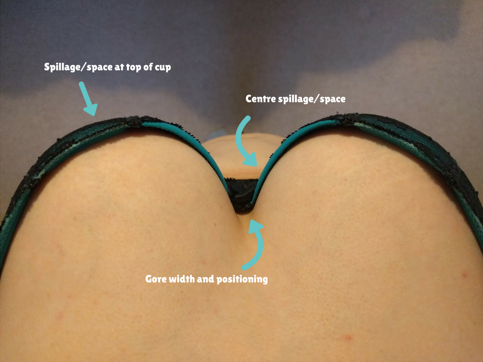 How to Take the Best Bra Fit Pictures (& Imgur Privacy Guide)