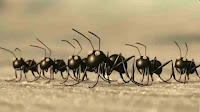 Ant Can ALIENS be present in other dimensions?, science Theories