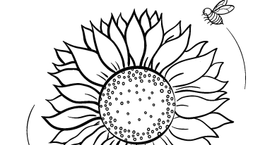 Gambar Mewarnai Bunga Matahari Untuk Anak PAUD dan TK