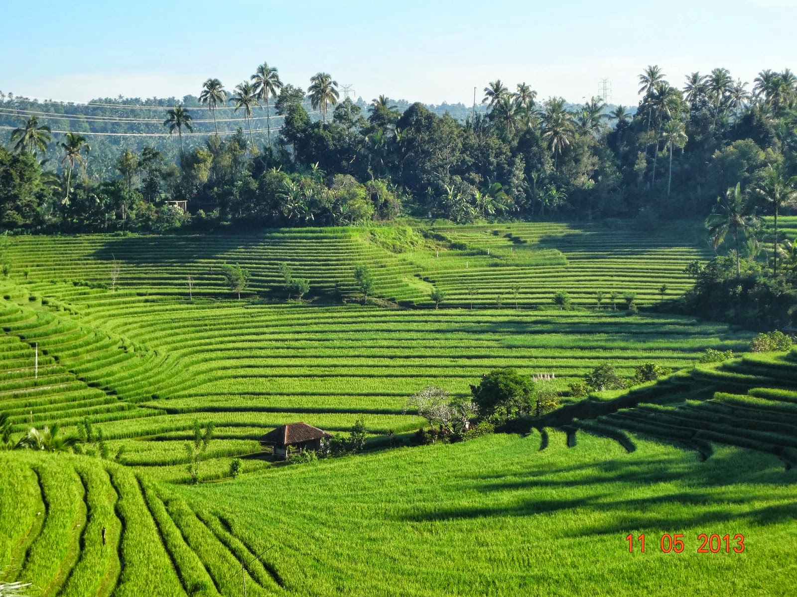 Bali Media Info Pemandangan Terasiring Dan Gunung Batukaru Di