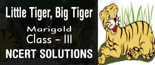 Little Tiger, Big Tiger Class 3 NCERT Solutions