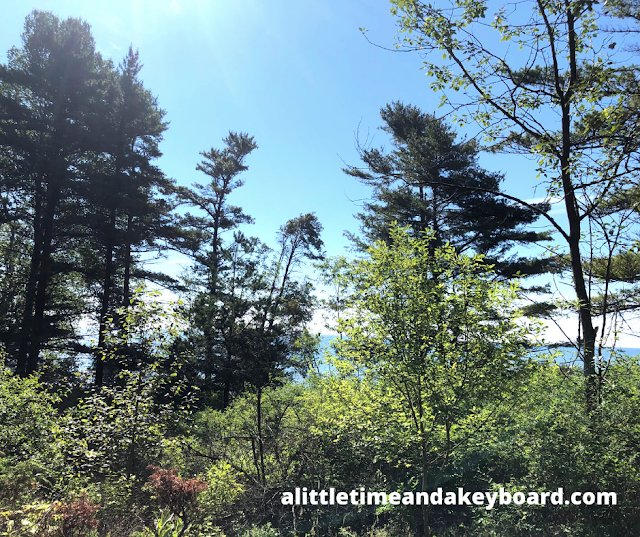 Lake Michigan peeking from just the other side of the trees at Kohler-Andrae State Park