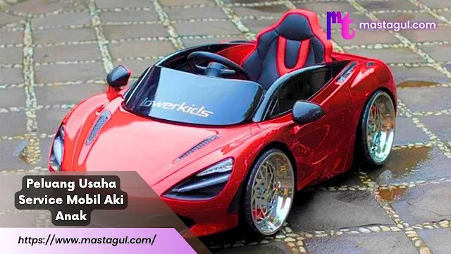 usaha mobil aki anak