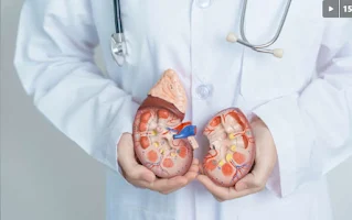 Doctor holds heart split in two