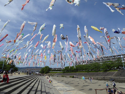 【大阪府高槻市】芥川桜堤公園の上空を泳ぐ約1000匹のこいのぼり