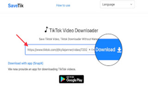 Download Video TikTok Menggunakan Web Savetik