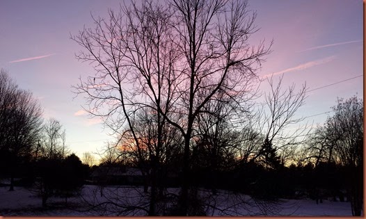 20150129_070252