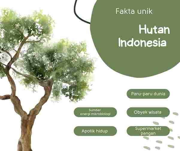 Fakta unik hutan Indonesia