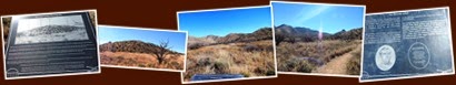 View album