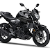 Yamaha MT-25