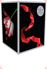 Twilight Saga Collection