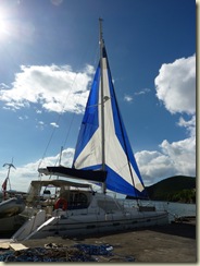 P1000660