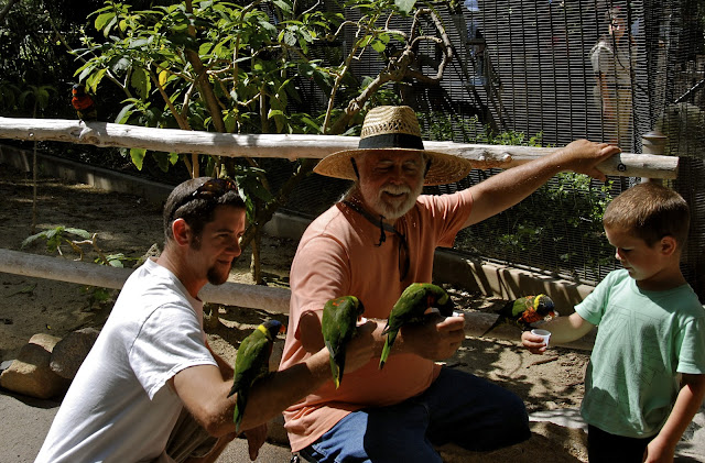 the family feeding 4 lorikeets