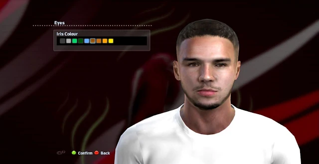 PES 2013 Calvin Verdonk Face