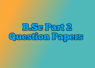 B.sc Part 2 Bastar University Question Papers