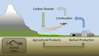 Biofuels are Renewable