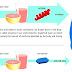 Grapefruit-drug interactions