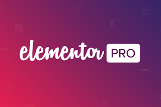 Elementor pro