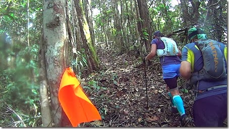 MAH01016.MP4_000010343
