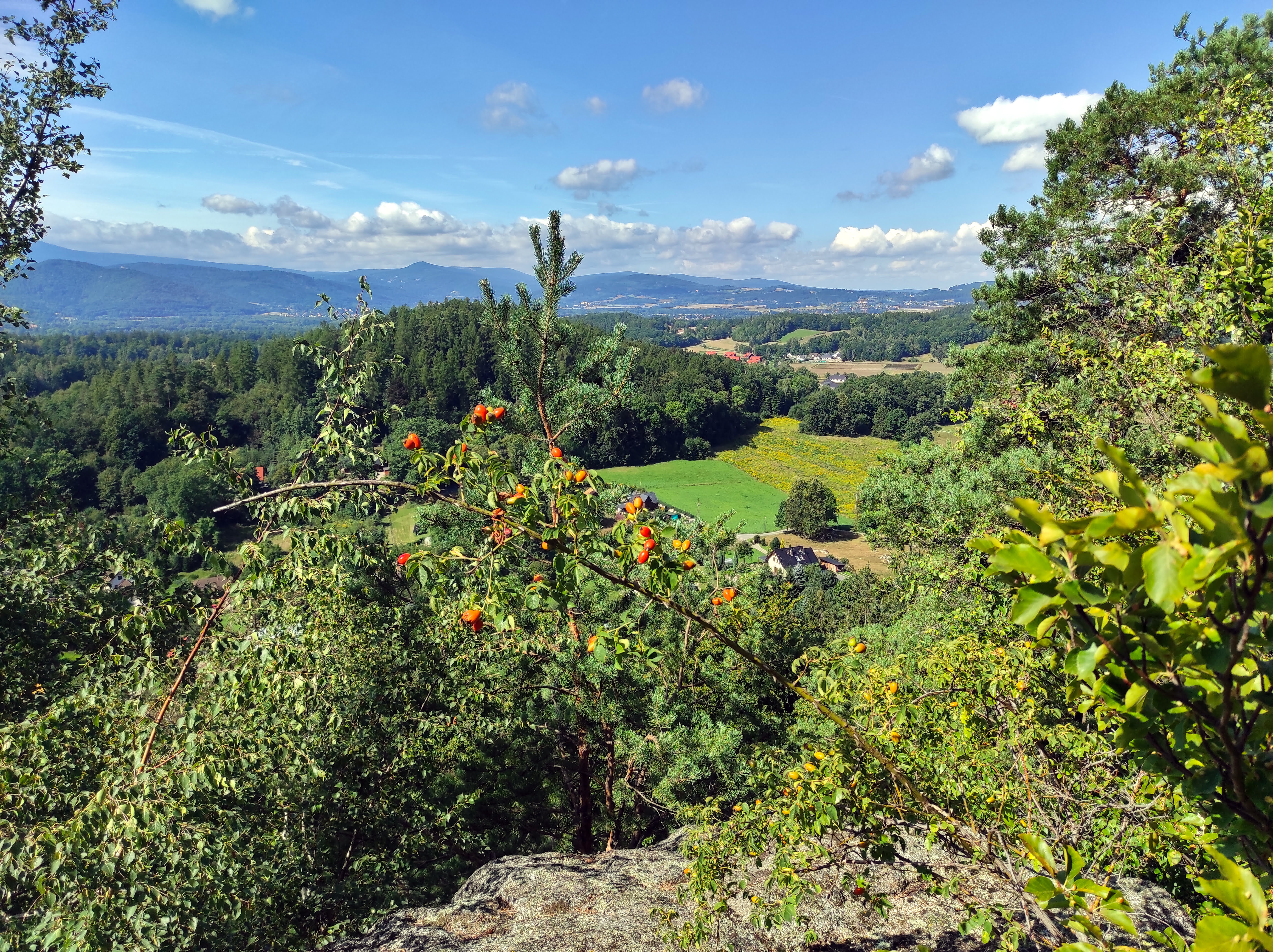 góra Witosza widok