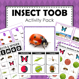 Insect Theme Printables: SAFARI TOOB INSECT Extension Activities