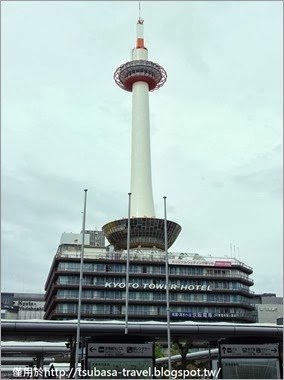 IMGP9429