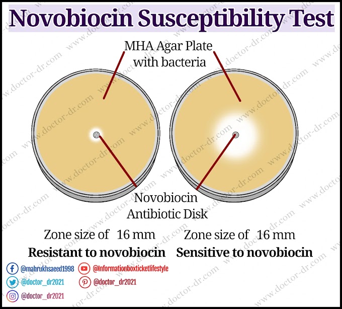 Test for Novobiocin Susceptibility: Principles, Methods, and Results