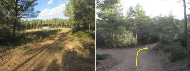 El Castellot-Puig de la Cogulla-Torre de Cal Pascol, camí en direcció a la Torre de Cal Pascol