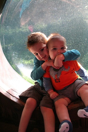 zoo, soccer 037