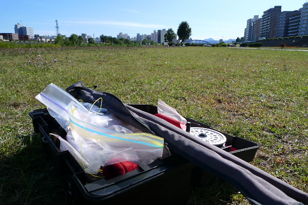 P1030533.jpg
