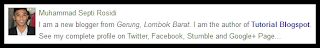 Cara membuat profile author,profile google+,profile blogger,profile admin di bawah posting,profile author di bawah artikel blog,profile pengarang